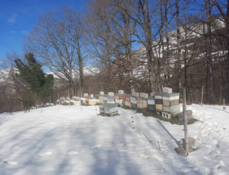 COLMENAR LA FELGUERINA -CAMPO CASO COLMENAR LA FELGUERINA -CAMPO CASO