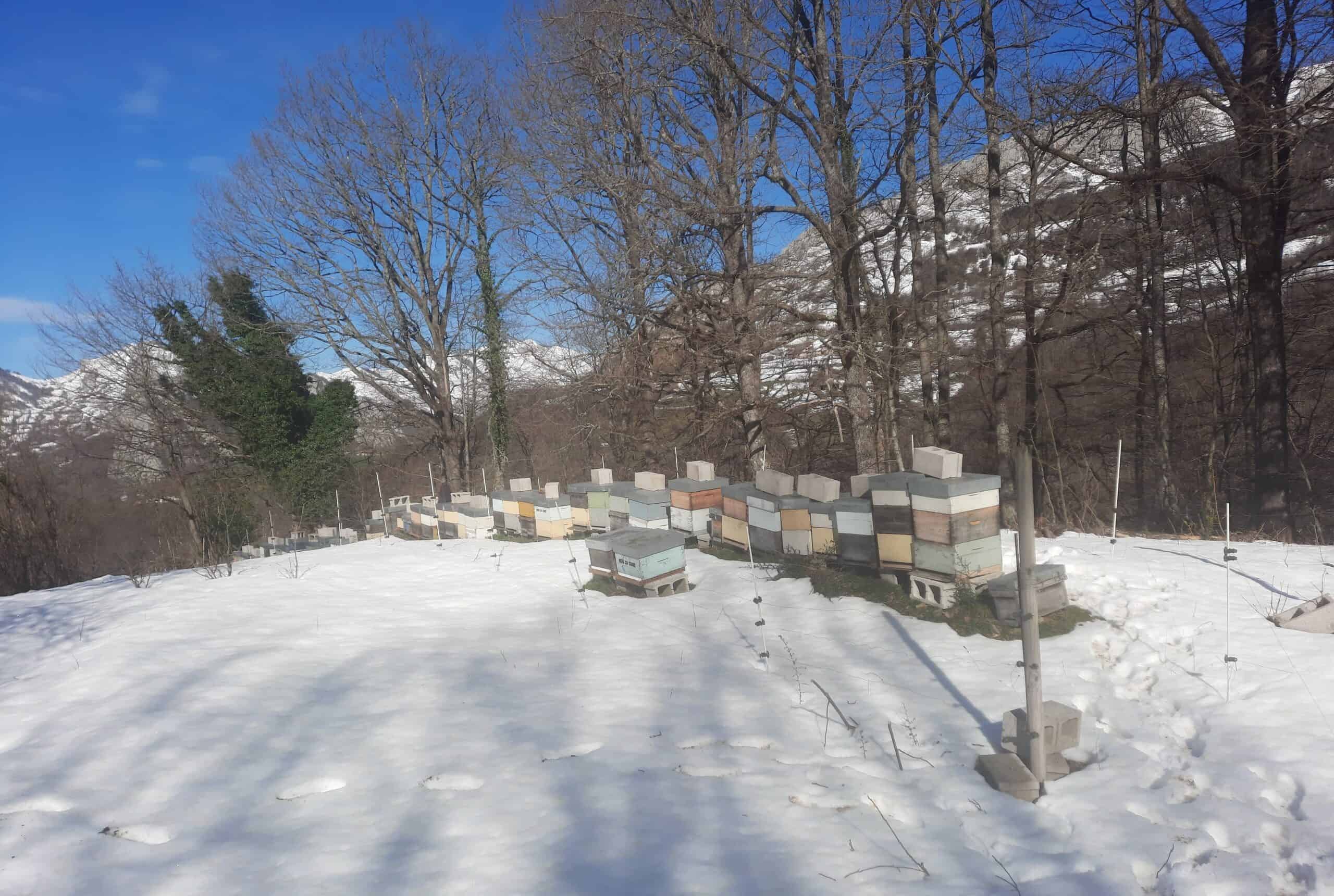 La nieve en nuestro Colmenar de La Felguerina, Campo de Caso
